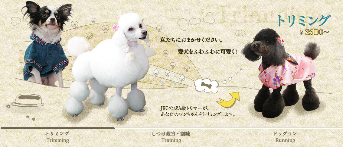 トリミング ￥3500～ JKC公認A級トリマーが、あなたのワンちゃんをトリミングします。