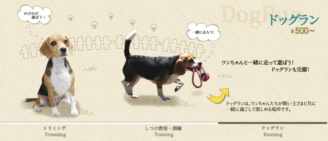 ドッグラン ￥500～ ワンちゃんと一緒に走って遊ぼう！ドッグランも完備！