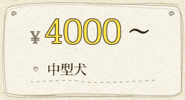 ￥4000～ 中型犬
