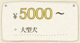 ￥5000～ 大型犬