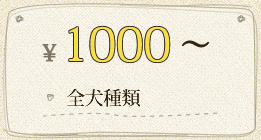 ￥1000～ 全犬種類