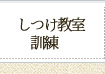しつけ教室・訓練