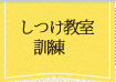 しつけ教室・訓練