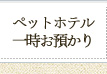 ペットホテル＆一時お預かり