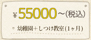 ￥55,000～（税込） 幼稚園＋しつけ教室（1ヶ月）