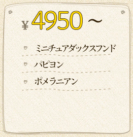 ￥4,950～ ミニチュアダックスフンド パピヨン ポメラニアン