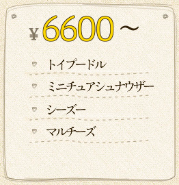 ￥6,600～ トイプードル ミニチュアシュナウザー シーズー マルチーズ