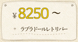 ￥8,250～ ラブラドールレトリバー